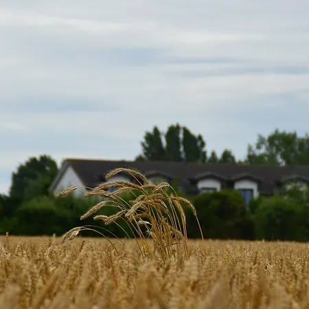 Hotel-pension Pastow Garni Broderstorf